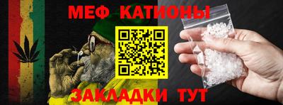 шишки Дубна
