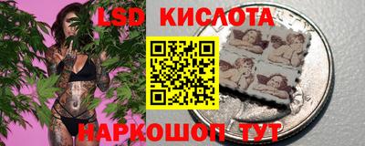 шишки Дубна