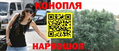 крисы Донской