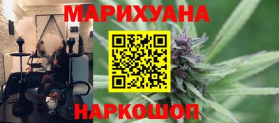шишки Дубна