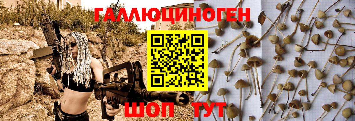 Краснокаменск  Псилоцибиновые грибы Magic Shrooms  Вход с VPN 
